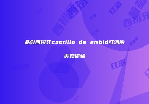 品尝西班牙castillo de embid红酒的美妙体验