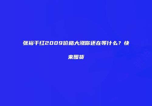 张裕干红2009价格大涨你还在等什么？快来囤货