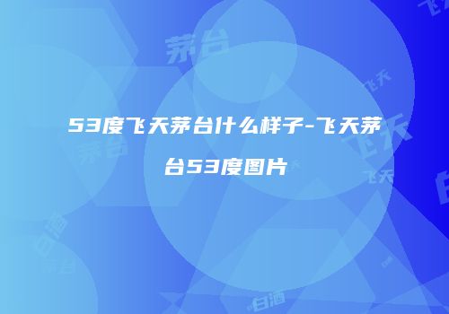 53度飞天茅台什么样子-飞天茅台53度图片