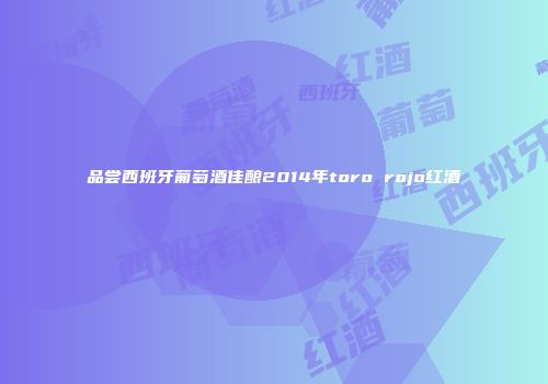 品尝西班牙葡萄酒佳酿2014年toro rojo红酒