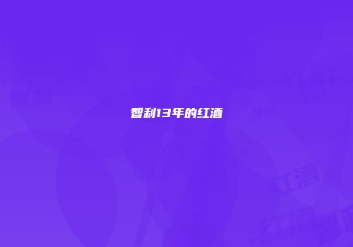 智利13年的红酒