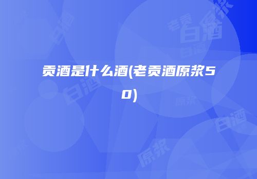贡酒是什么酒(老贡酒原浆50)