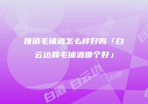 推销毛铺酒怎么样好吗「白云边和毛铺酒哪个好」