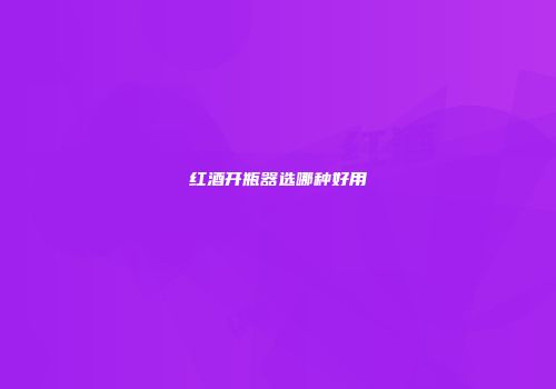 红酒开瓶器选哪种好用