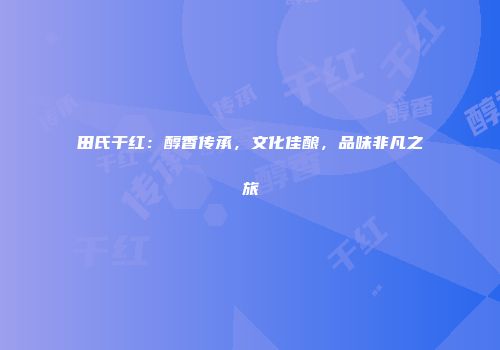 田氏干红：醇香传承，文化佳酿，品味非凡之旅