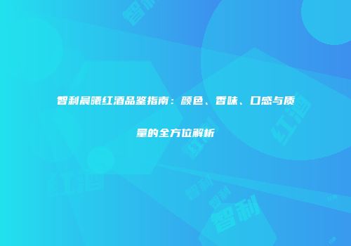 智利晨曦红酒品鉴指南：颜色、香味、口感与质量的全方位解析