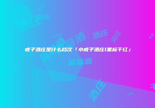 戒子酒庄是什么档次「小戒子酒庄l黑标干红」