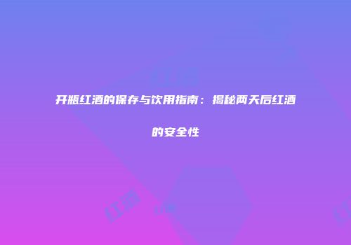 开瓶红酒的保存与饮用指南：揭秘两天后红酒的安全性