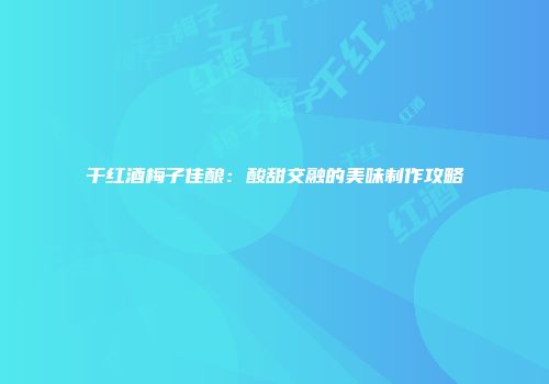 干红酒梅子佳酿：酸甜交融的美味制作攻略