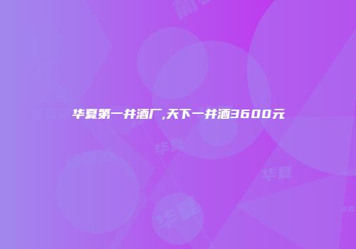 华夏第一井酒厂,天下一井酒3600元