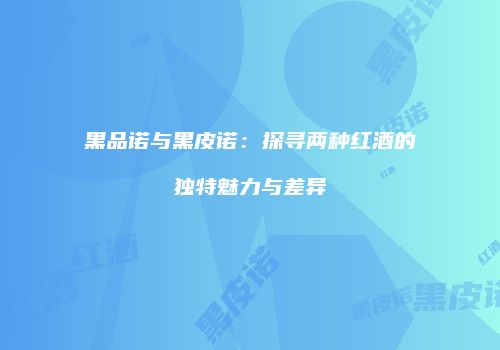 黑品诺与黑皮诺：探寻两种红酒的独特魅力与差异