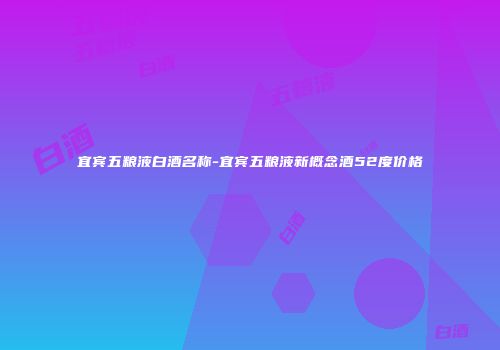 宜宾五粮液白酒名称-宜宾五粮液新概念酒52度价格