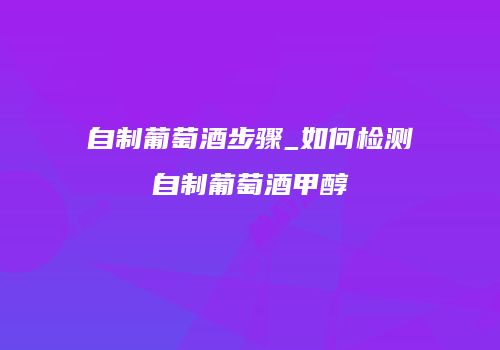自制葡萄酒步骤_如何检测自制葡萄酒甲醇