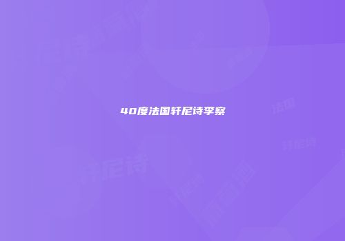 40度法国轩尼诗李察
