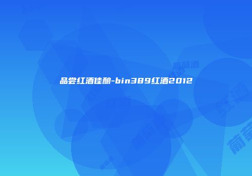 品尝红酒佳酿-bin389红酒2012