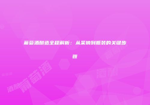 葡萄酒酿造全程解析：从采摘到瓶装的关键步骤