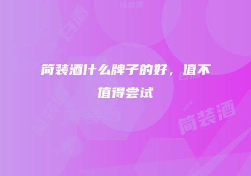 简装酒什么牌子的好，值不值得尝试