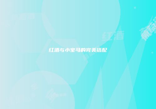 红酒与小宝马的完美搭配