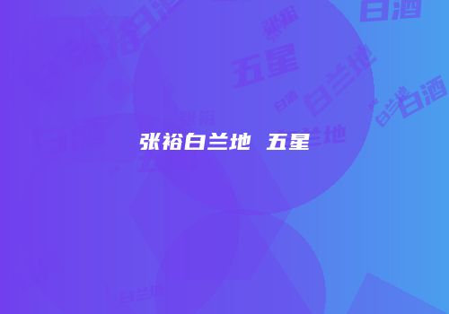 张裕白兰地 五星
