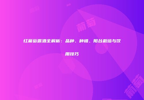 红葡萄露酒全解析：品种、种植、阳台栽培与饮用技巧