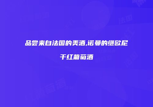 品尝来自法国的美酒,诺曼的继欧尼干红葡萄酒
