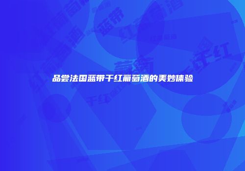 品尝法国蓝带干红葡萄酒的美妙体验