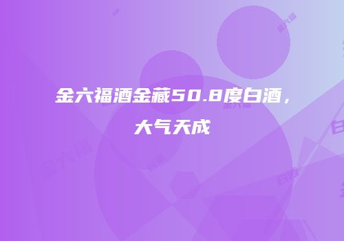 金六福酒金藏50.8度白酒，大气天成