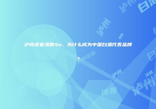 泸州老窖浓香9n，为什么成为中国白酒代表品牌？