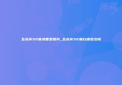 五龙宾52度浓香型图片_五龙宾52度白酒多少钱