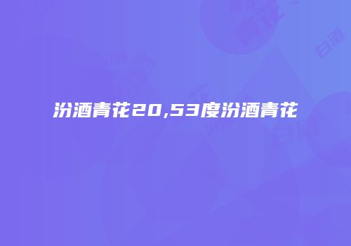 汾酒青花20,53度汾酒青花
