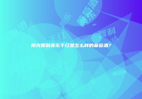阳光智利美乐干红是怎么样的葡萄酒？