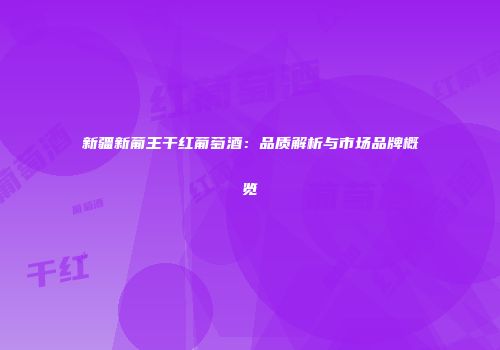 新疆新葡王干红葡萄酒：品质解析与市场品牌概览