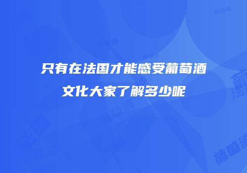 只有在法国才能感受葡萄酒文化大家了解多少呢