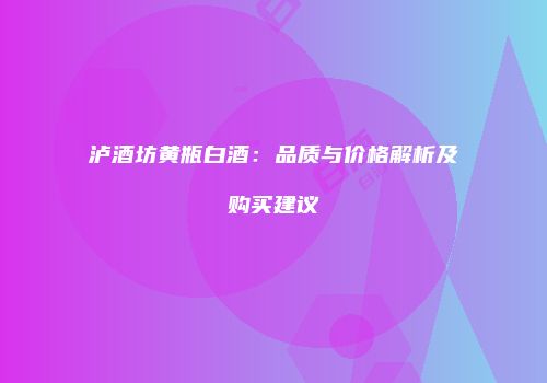 泸酒坊黄瓶白酒：品质与价格解析及购买建议