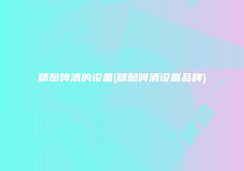 精酿啤酒的设备(精酿啤酒设备品牌)