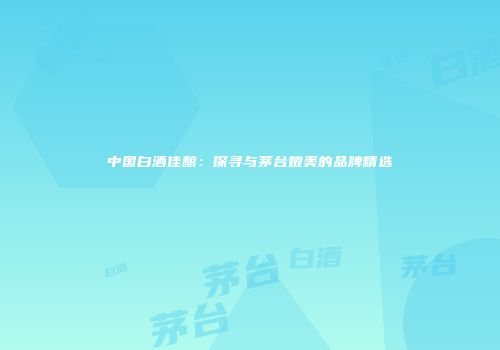 中国白酒佳酿：探寻与茅台媲美的品牌精选