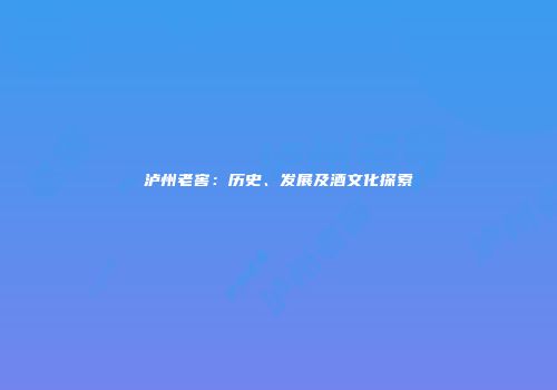 泸州老窖：历史、发展及酒文化探索