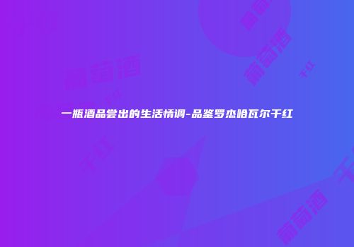 一瓶酒品尝出的生活情调-品鉴罗杰哈瓦尔干红