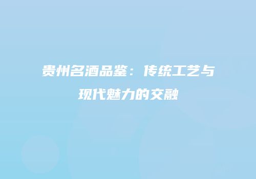 贵州名酒品鉴：传统工艺与现代魅力的交融