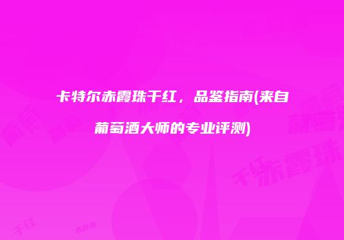 卡特尔赤霞珠干红，品鉴指南(来自葡萄酒大师的专业评测)