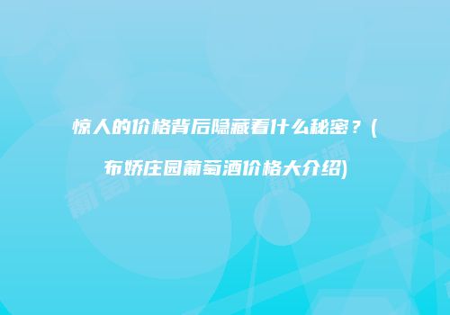 惊人的价格背后隐藏着什么秘密？(布娇庄园葡萄酒价格大介绍)