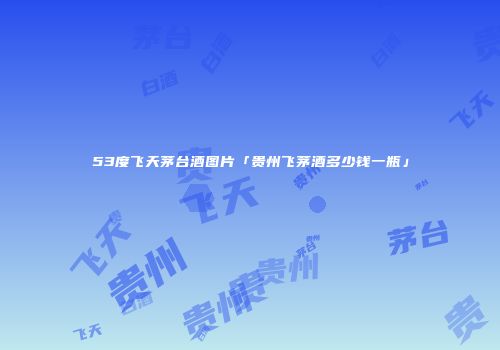 53度飞天茅台酒图片「贵州飞茅酒多少钱一瓶」