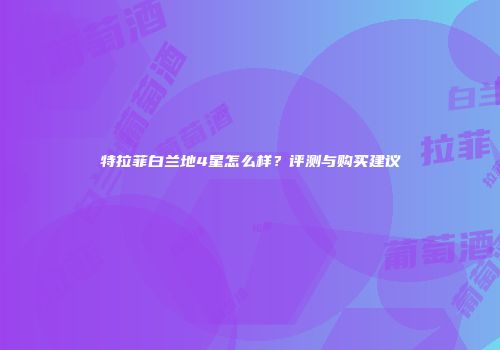特拉菲白兰地4星怎么样？评测与购买建议