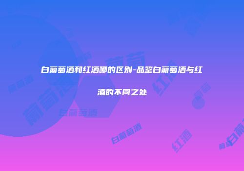 白葡萄酒和红酒哪的区别-品鉴白葡萄酒与红酒的不同之处