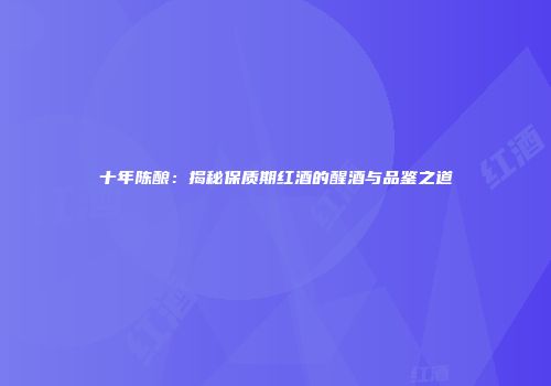 十年陈酿：揭秘保质期红酒的醒酒与品鉴之道