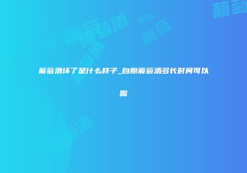 葡萄酒坏了是什么样子_自酿葡萄酒多长时间可以喝