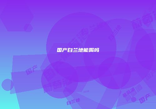 国产白兰地能喝吗