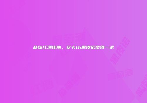 品味红酒佳酿，安卡th黑皮诺值得一试