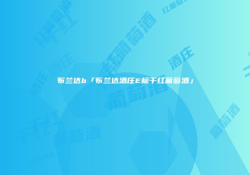 布兰达b「布兰达酒庄E标干红葡萄酒」