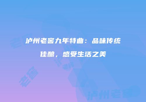 泸州老窖九年特曲：品味传统佳酿，感受生活之美